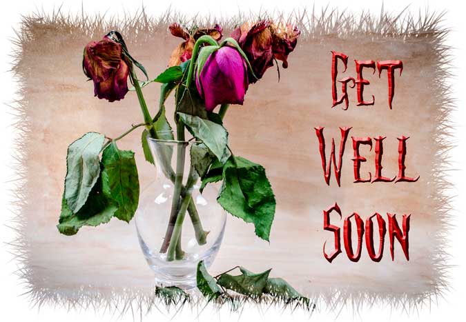 Get Well Card